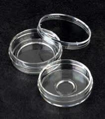 Julius Richard Petri