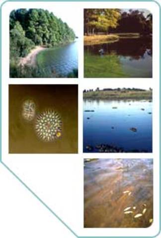 El primer laboratorio