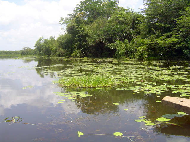 Condiciones limnológicas