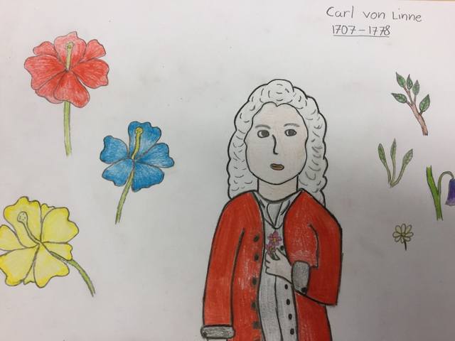 Carl von linne