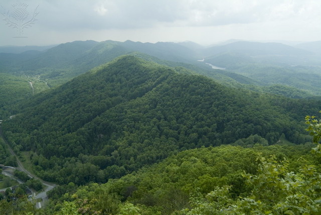 Cumberland Gap Founded