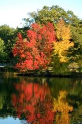 Roger Williams Park Botanic Garden