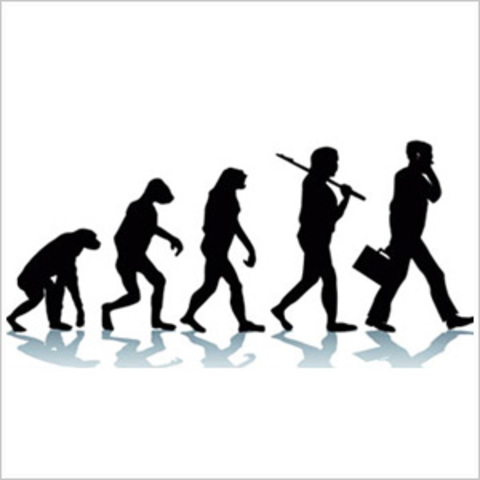 EVOLUCION DEL MERCADEO