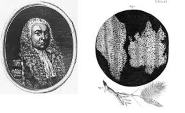 Estructura Celular de las Plantas