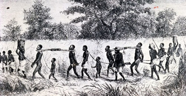 Slave trade begins