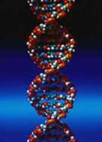 ESTRUCTURA TRIDIMENSIONAL DE ADN