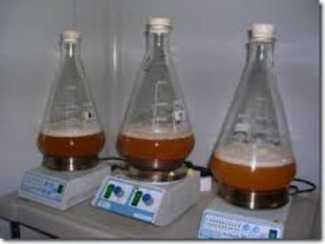 PRIMEROS EXPERIMENTOS CON MICROORGANIMOS PARA LA FERMENTACION