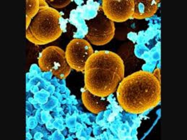 Reconocimiento del reino Archaeas