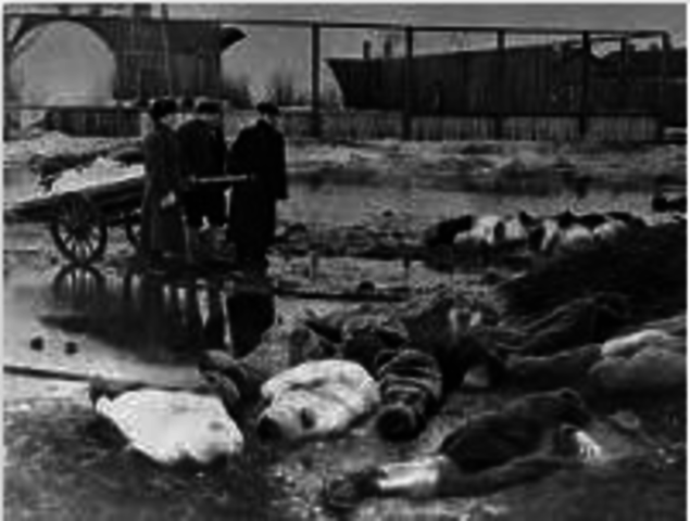 Seige of Leningrad