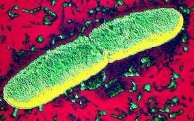 Descubrimiento del microroganismo que genera la emfemedad de la peste