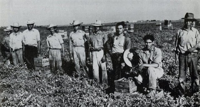 Braceros