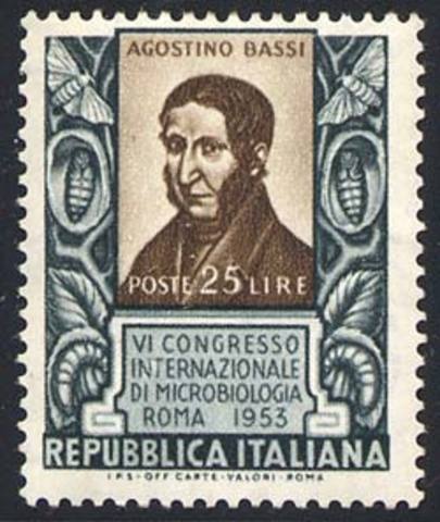 Agostino Bassi