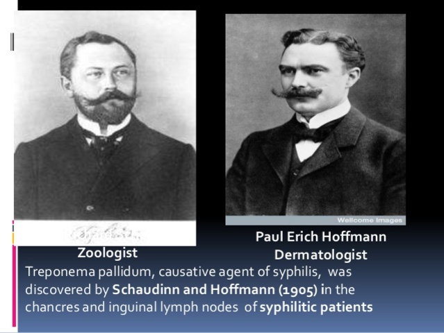 Treponema pálidum es el agente productor de la sífilis