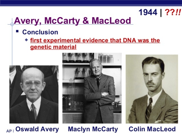 Oswald Avery, Colin MacLeod y Maclyn McCarty
