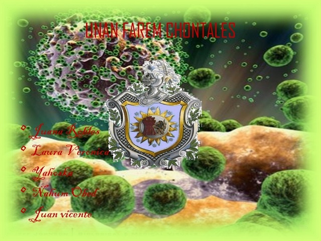 andre michel  l wolf