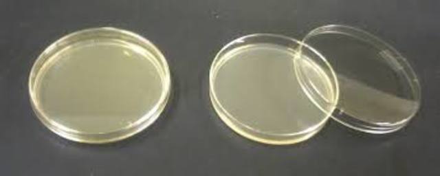 Utilizacion de agar agar