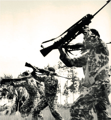 1954-1984 GOBIERNOS MILITARES