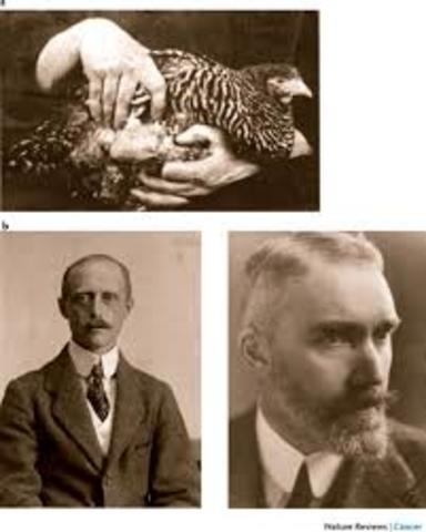 Virus (retrovirus) que produce tumores (sarcomas). Francis Peyton