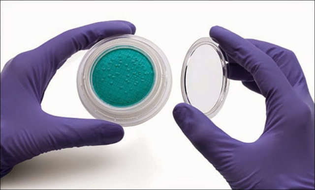 propuso que el aire transportaba germenes al medio de cultivo