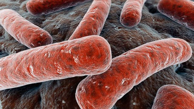 Descubrimiento de Mycobacterium tuberculosis