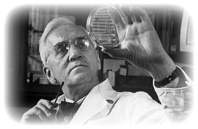 Alexander Fleming descubre la penicilina