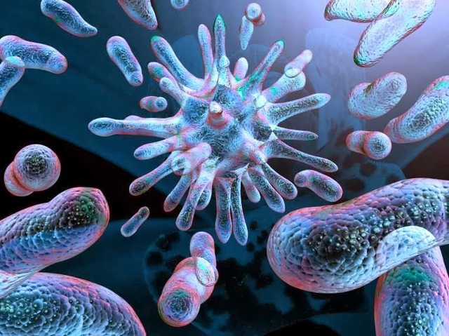 BACTERIAS ANAEROBIAS