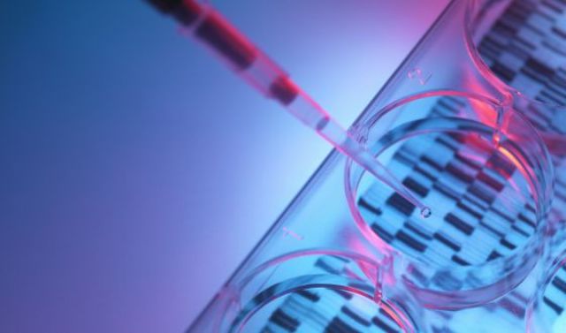 Descubierta una sexta ‘letra genética’ en células de animales y plantas