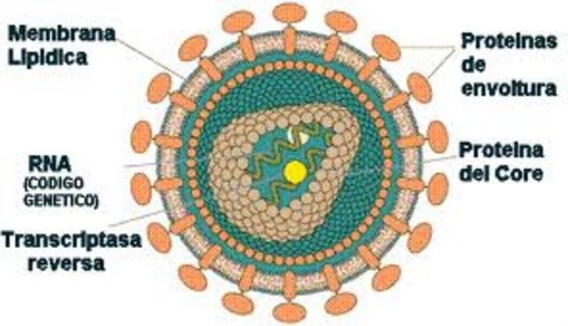 AISLACION DEL VIRUS SIDA