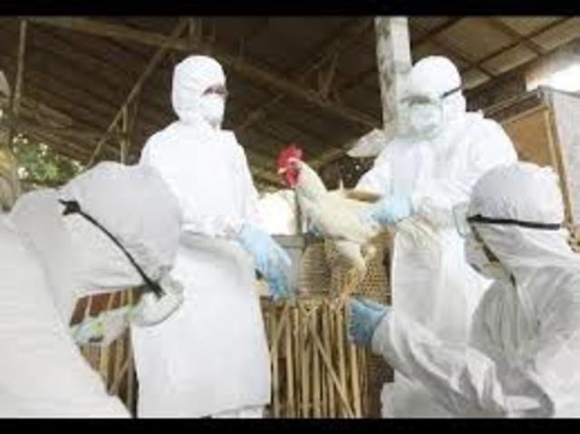 APARICION DE H5N1