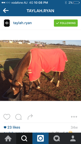 getting my horse Charli