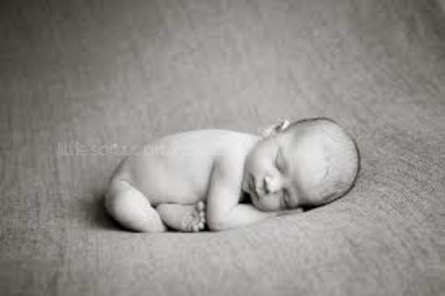 William Golding was born