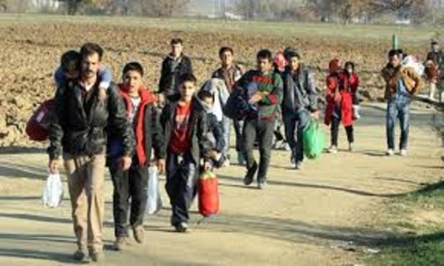 7,000 latin amarican refugies