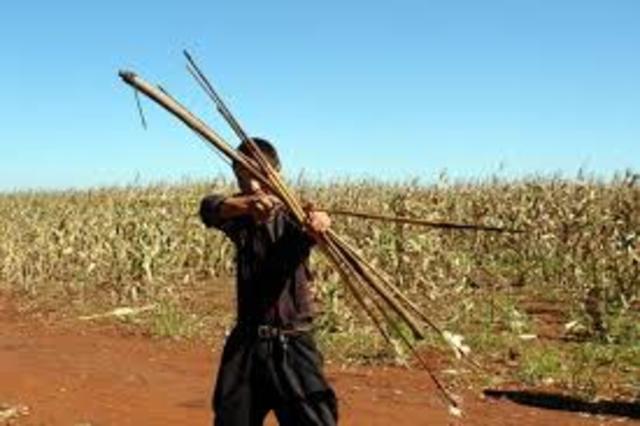 Arco y flecha 30.000 a.C.