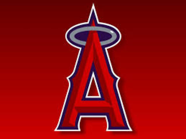 Went to Angels Stadium