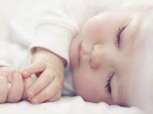 my first day on the world