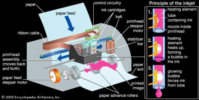 Ink Jet Printer