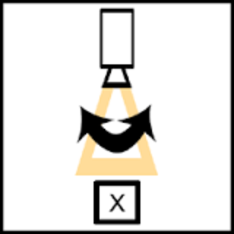 First Panning Camera