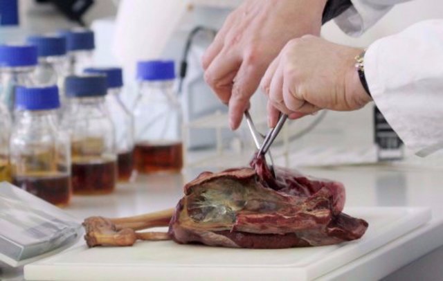 POSTULADO DE LA GENERACION EXPONTANEA