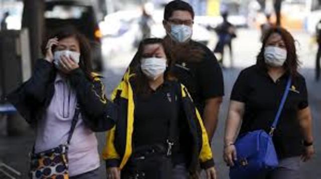 CULTIVACION DE VIRUS EXITOSAS