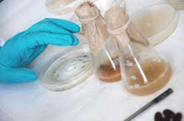 PROPIEDADES ANTIBIOTICAS DE LOS HONGOS