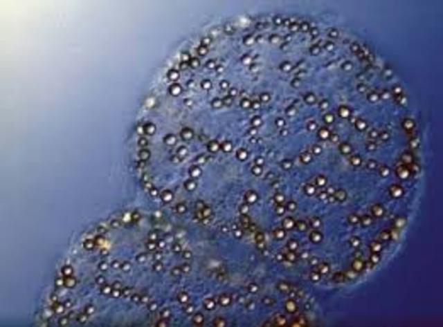 OXIDACION DEL AZUFRE PARA OBTENER ENERGIA