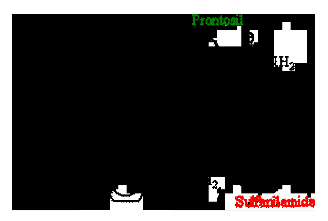 PRIMEROS EXPERIMENTOS CON PRONTOSIL (SULFAMIDAS)