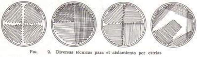 ROBERT KOCH ¨CULTIVOS PUROS¨