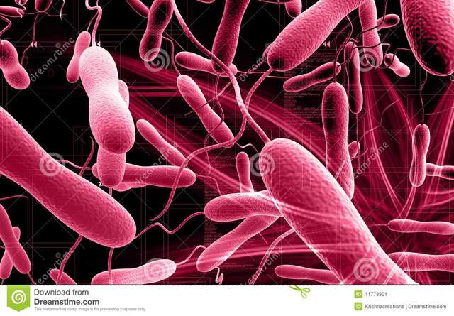 Estudio epidemiológico del cólera