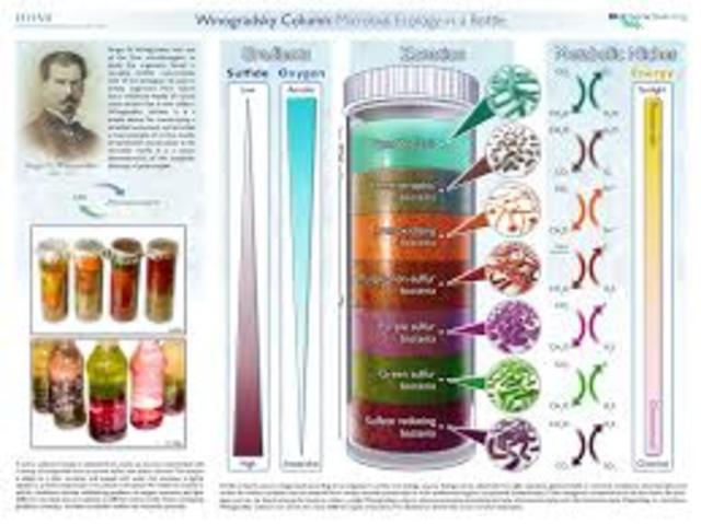 Serguéi Winogradski