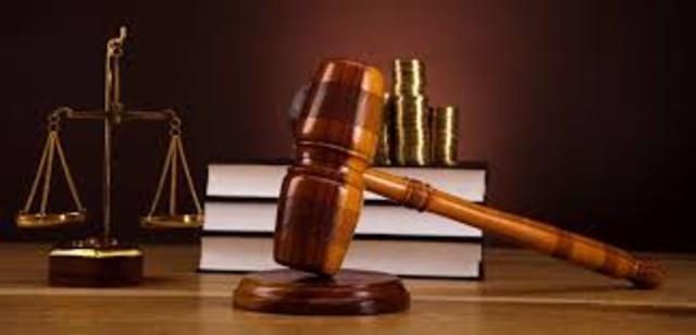 Creación de los departamentos de derecho y ciencias sociales.