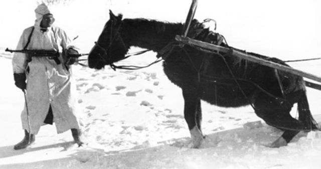 LA INVASIÓN DE RUSIA: OPERACIÓN BARBARROJA