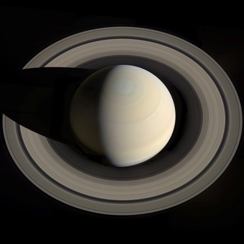Saturn- Ringlets