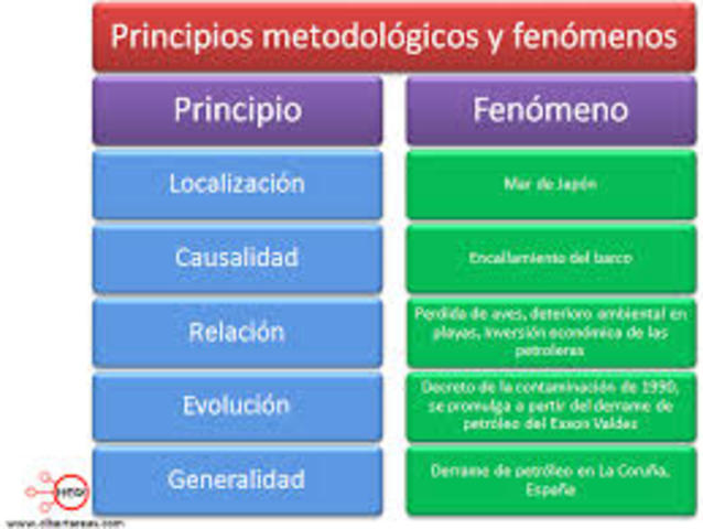 Principios metodologicos de la geografia