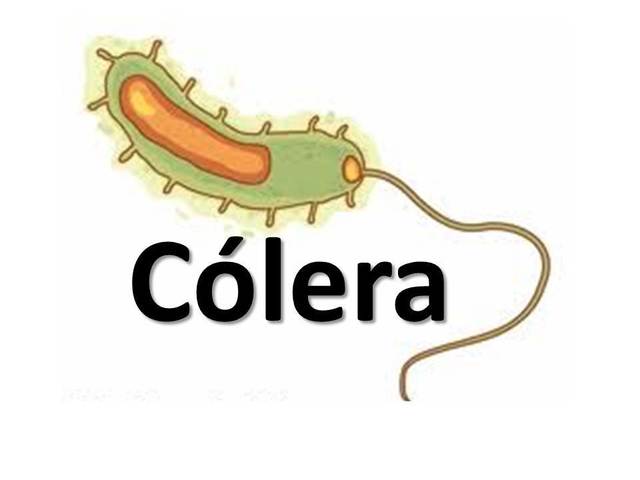 Causa del colera